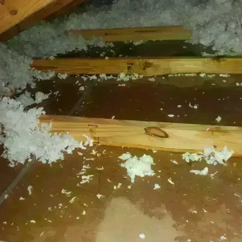 Attic Water Damage in Middlebury, IN